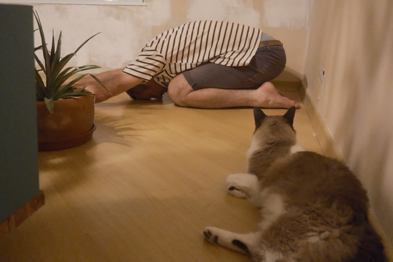 Homem de camisa listrada na postura de balsana em sua casa sendo observado por sua gata, que aparece na foto com o rosto virado para o homem.